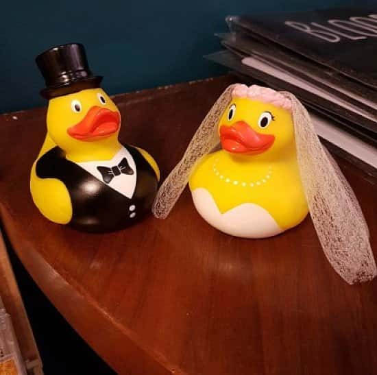 Bride and groom ducks! Mix and match available Ay up me duck !