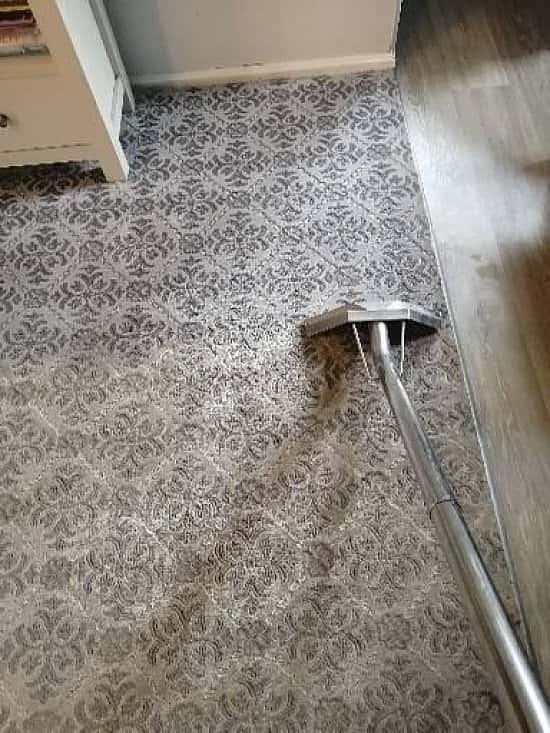 Fixed Price Domestic Carpet Cleaning