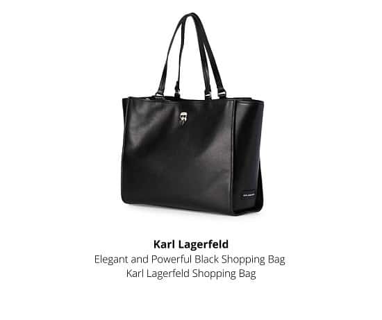 Early Xmas Deal On This Karl Lagerfeld