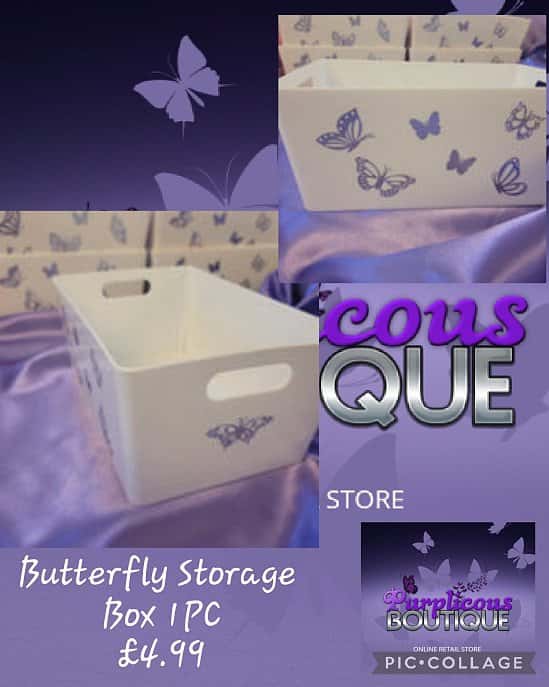 Butterfly Storage Box 1PC  💥£4.99