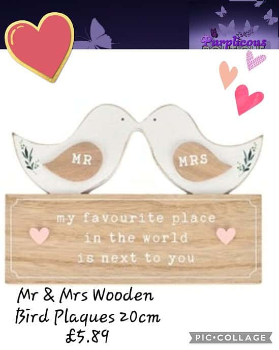 Mr & Mrs Wooden Bird Plaques 20cm 💥£5.89