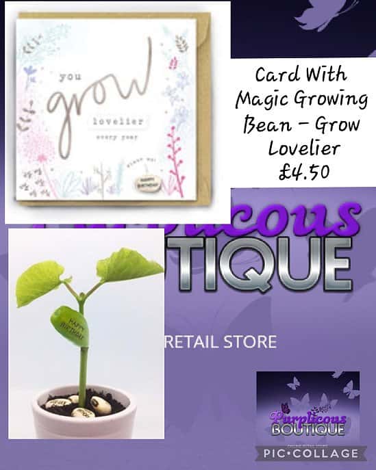 Card With Magic Growing Bean - Grow Lovelier 💥£4.50