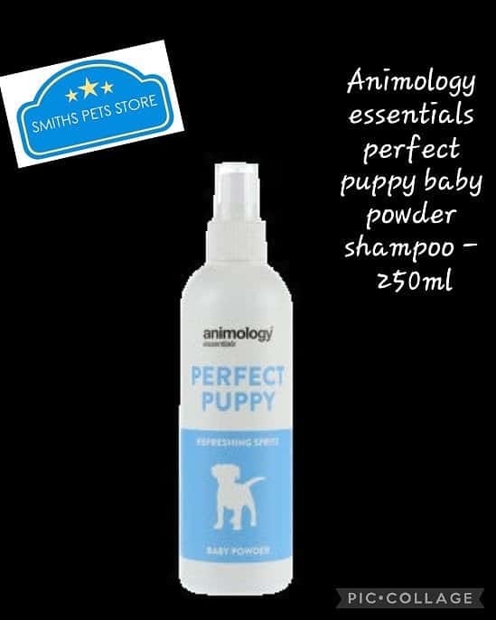 Animology essentials perfect puppy baby powder shampoo - 250ml