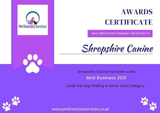 Pet Directory Awards - Best dog walking and home visit business 2021