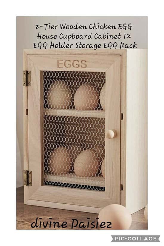 2-Tier Wooden Chicken EGG House Cupboard Cabinet 12 EGG Holder Storage EGG Rack