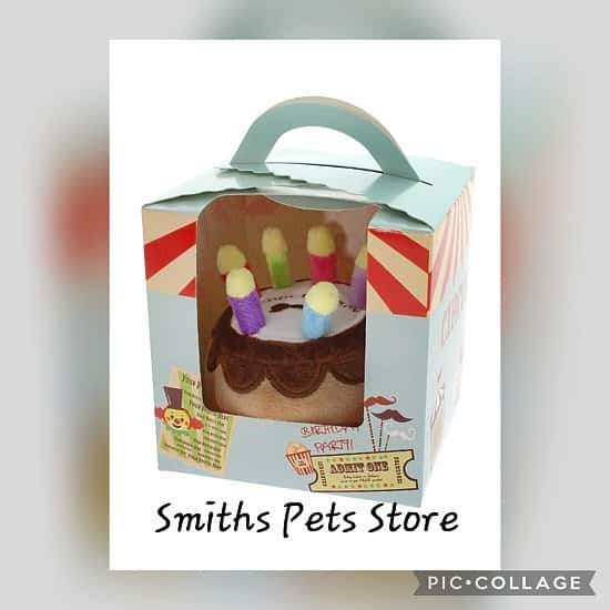 Birthday pup cake push + squaky dog toy (with box)