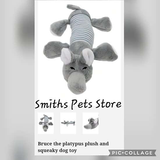Bruce the platypus plush and squeaky dog toy
