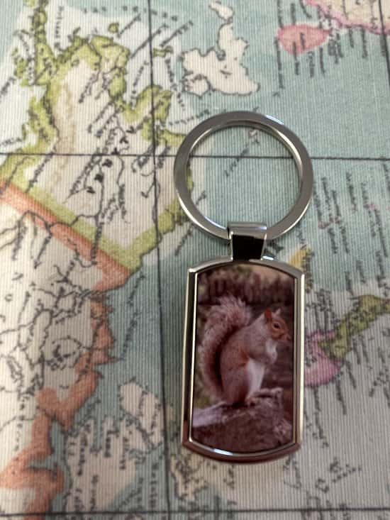 New Squirrel Keyring In stock