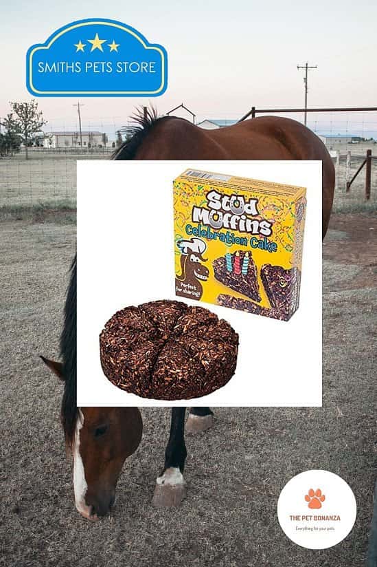 Stud muffin celebration cake for horses
