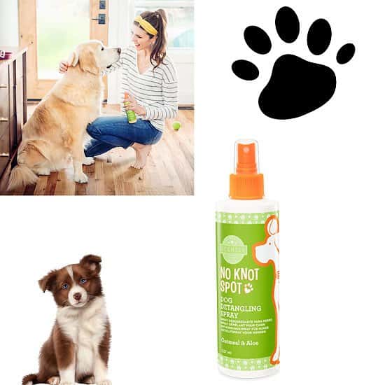 Oatmeal & Aloe No Knot Spot Dog Detangling Spray
