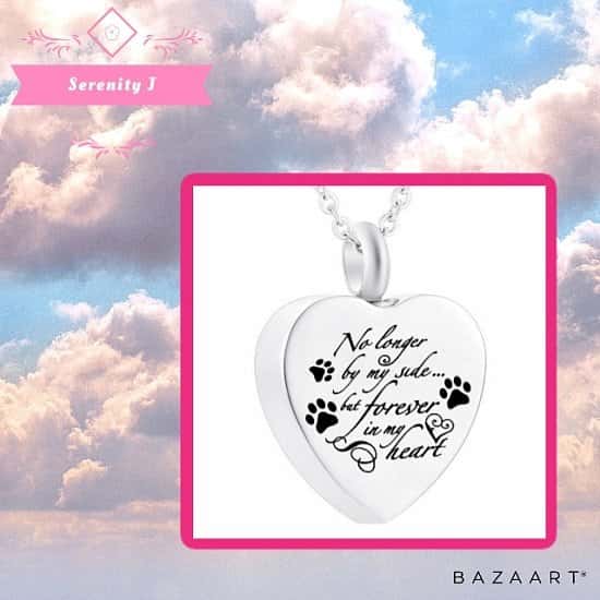 No Longer By My Side Pawprints Heart Memorial Ashes Necklace £14.95