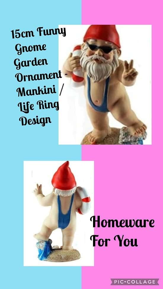 15cm Funny Gnome Garden Ornament - Mankini / Life Ring Design