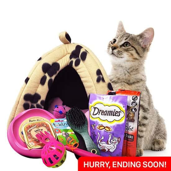 WIN the Ultimate Cat House Hamper