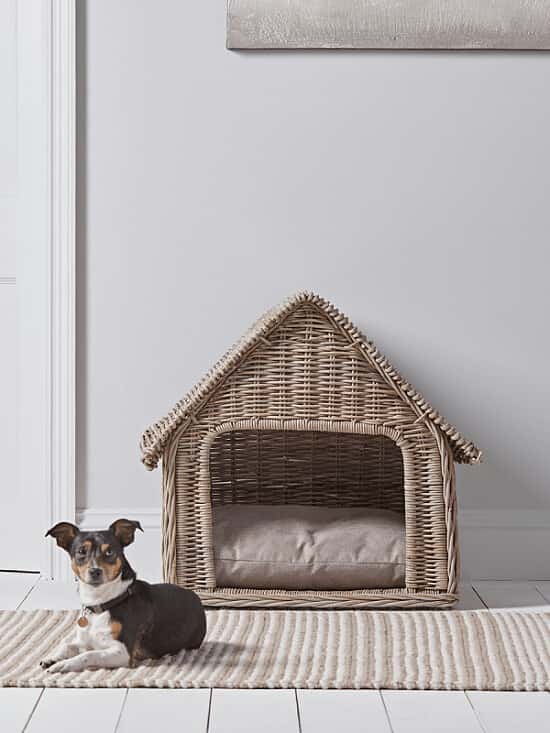 Rattan dog crate 2025