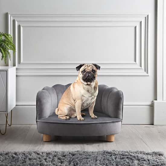 Dog top beds b&m