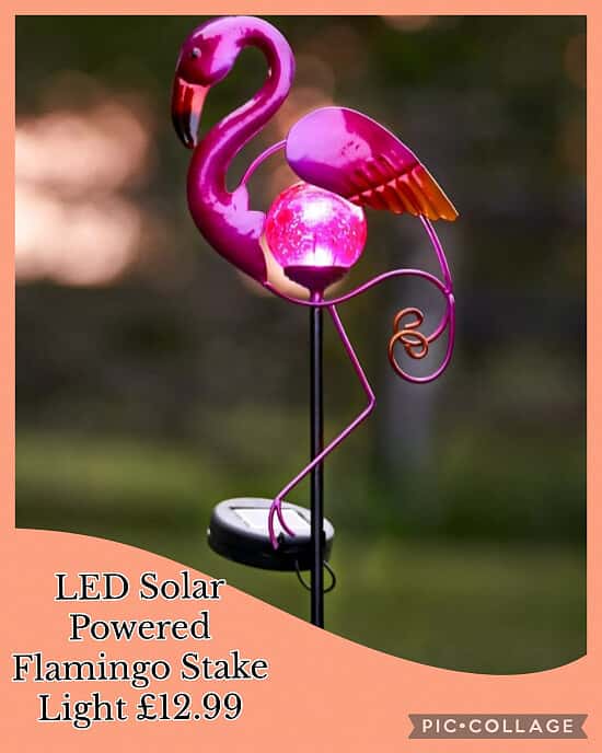 LED Solar Powered Flamingo Stake Light 💥 £12.99
