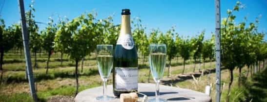 East Sussex: Winery Tour inc Tastings for 2 just £23!