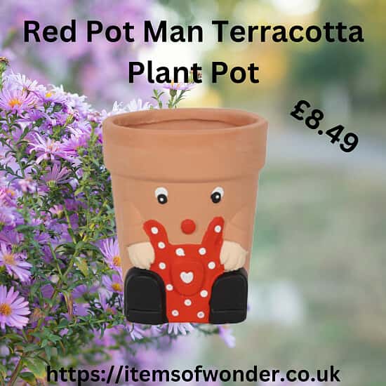Red Pot Man Terracotta Plant Pot