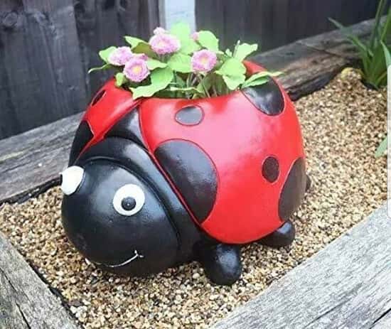 Ladybird Planter ❤️ £27.99