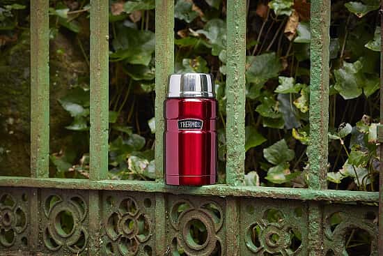 Keep Meals Hot and Savings Even Hotter: Thermos Stainless King Food Flask Deal!