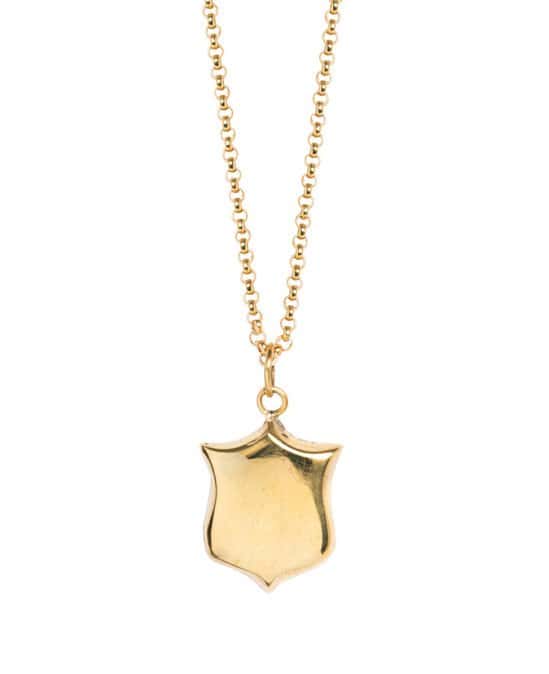 This Amazing Gold Shield Necklace is only £100