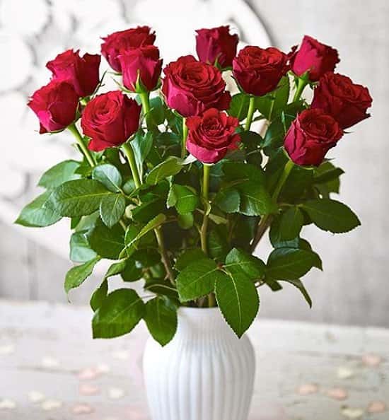 Get Valentines Day Ready - Upper Class Waitrose Foundation Roses, £25!