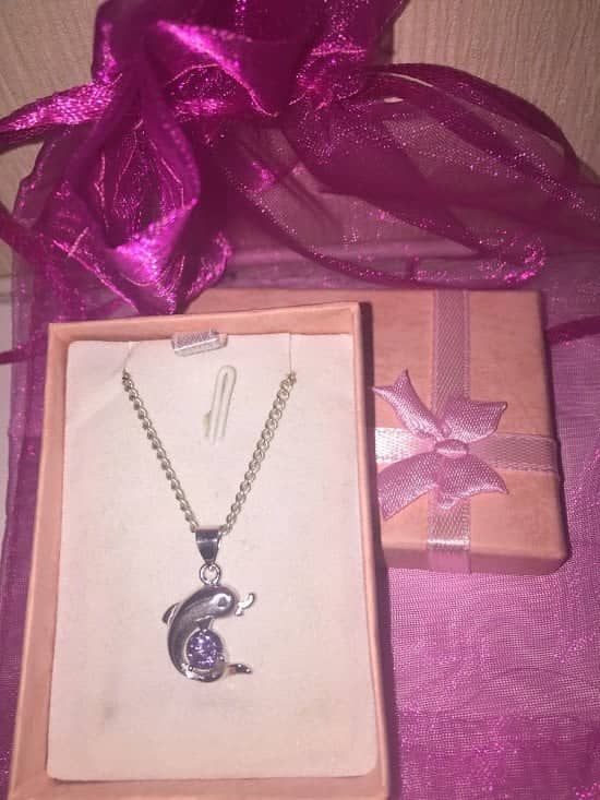 Win a  necklace with silver dolphin pendant and amethyst crystal