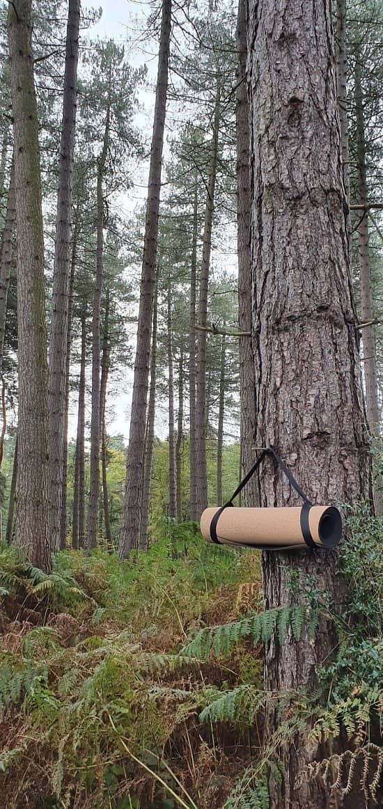 Bio Cork Yoga Mat