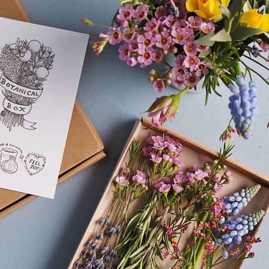 Support Local - Botanical Fresh Flower Box: £12.95!