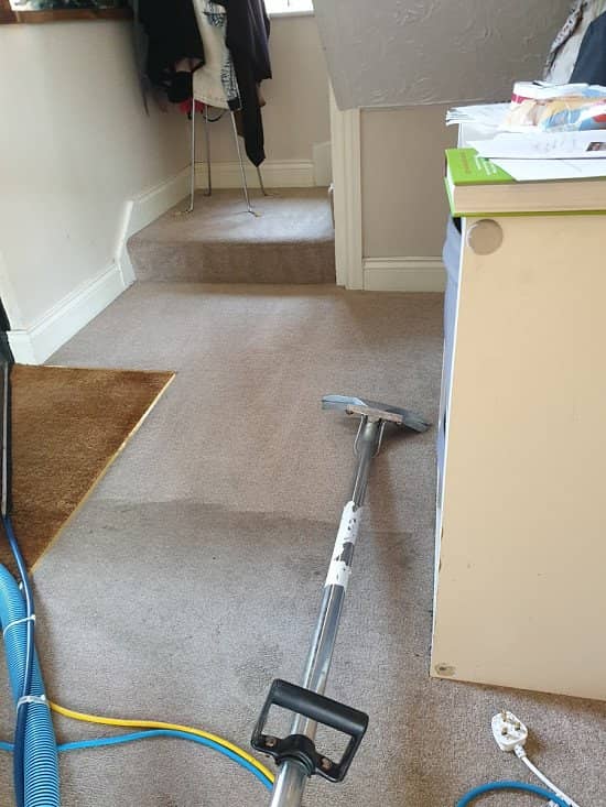 Carpet cleaning