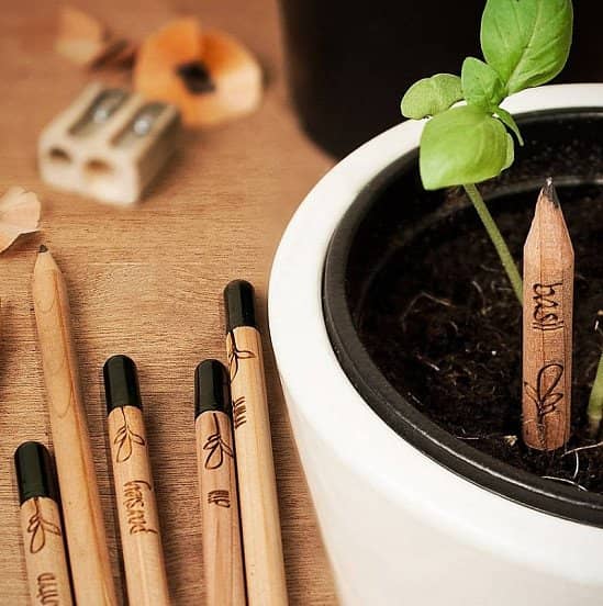 Sprout Plantable Pencils - 3 Pack: £6.85