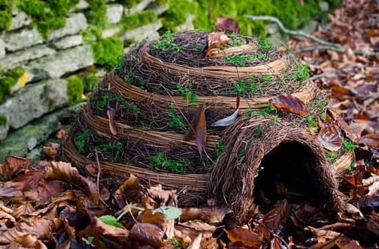 IGLOO HEDGEHOG HOUSE - £27.99!