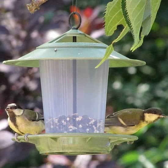 ECO BEACON BIRD FEEDER - £7.95!