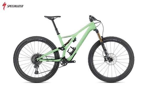SAVE- Specialized S-Works Stumpjumper 29 2019 Mountain Bike Green