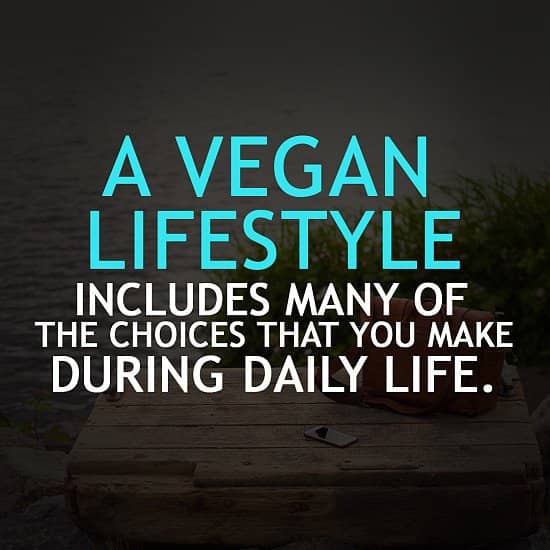 Vegan Diet and Lifestyle