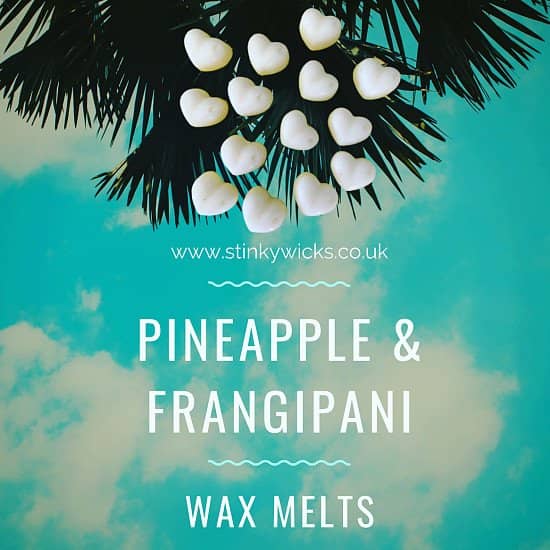 Our beautiful Pineapple & Frangipani wax melts🍍