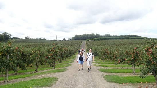 From Chilham to Canterbury Walk