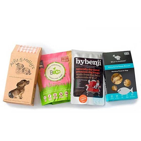 DOG TREAT BAG - £14.50!