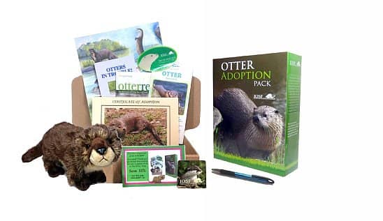 Try the Otter Shop on Black Friday