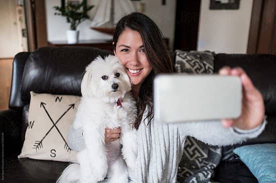 Date with your Dog Online Speed Dating Event