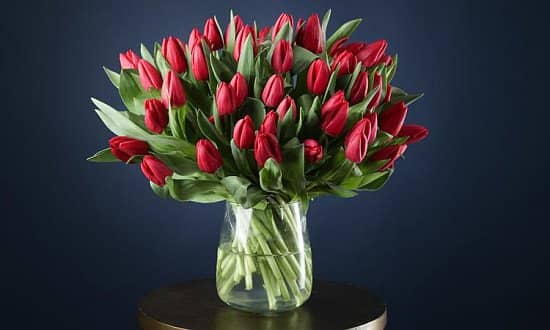 HAND-TIED BOUQUETS BY EXPERT FLORISTS - 50 RED TULIPS £35.00 + Delivery!
