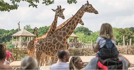 Up to 25% off Marwell Zoo with a £1 Kids Pass Trial