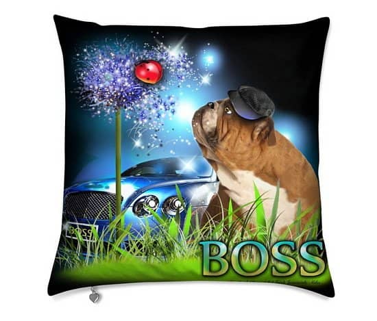 Unique Cushions