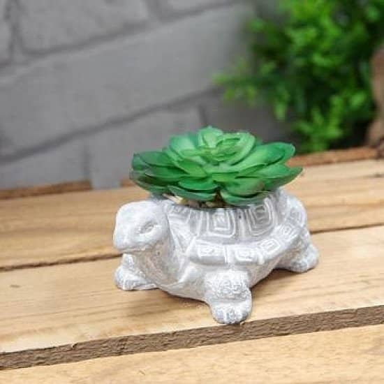 TORTOISE  MINI CEMENT PLANTER WITH SUCCULENT