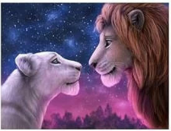 lions in love 5 d diamand art