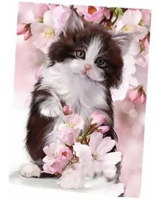 CAT DIAMOND PAINTING PICTURES DIY 5D DIAMOND PAINTING DIAMOND PAINTING KITS 30X40CM