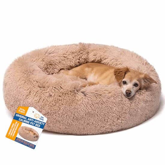 Get 10% OFF Pawsome Pet Supplies