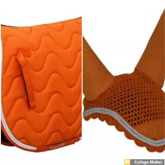 Saddle pad and ear set