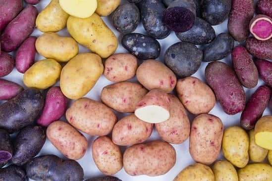 Buy Seed Potatoes and have a family Potato ChampionChip