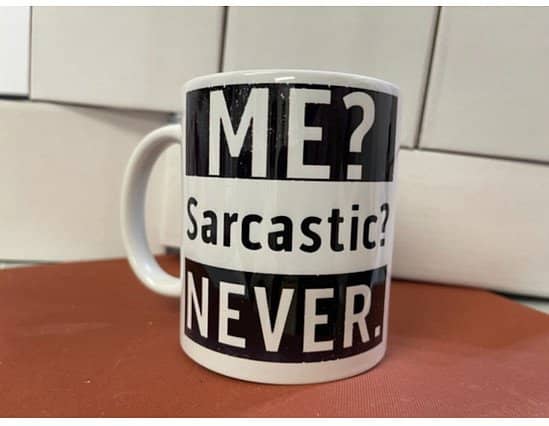 Me Sarcastic Mug